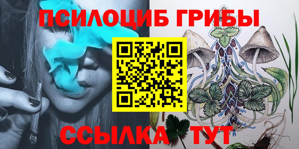 Галлюциногенные грибы MAGIC MUSHROOMS  Вход с VPN  Медногорск 